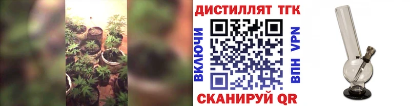 ТГК вейп с тгк  купить  сайты  ссылка на мегу зеркало  Озёрск 