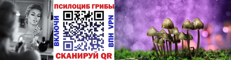 Галлюциногенные грибы Psilocybine cubensis  Озёрск 